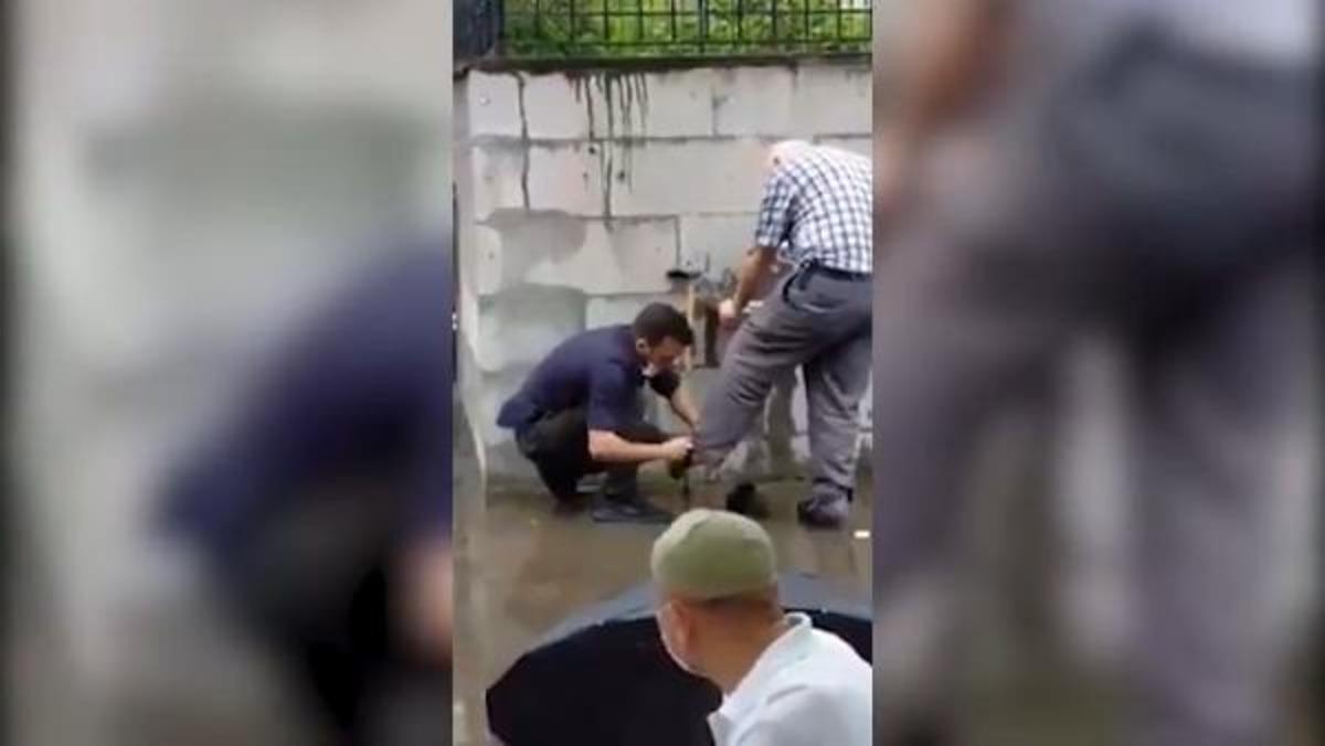 Sosyal medya Rize'deki bu g&ouml;r&uuml;nt&uuml;y&uuml; konuşuyor! B&uuml;y&uuml;k beğeni topladı