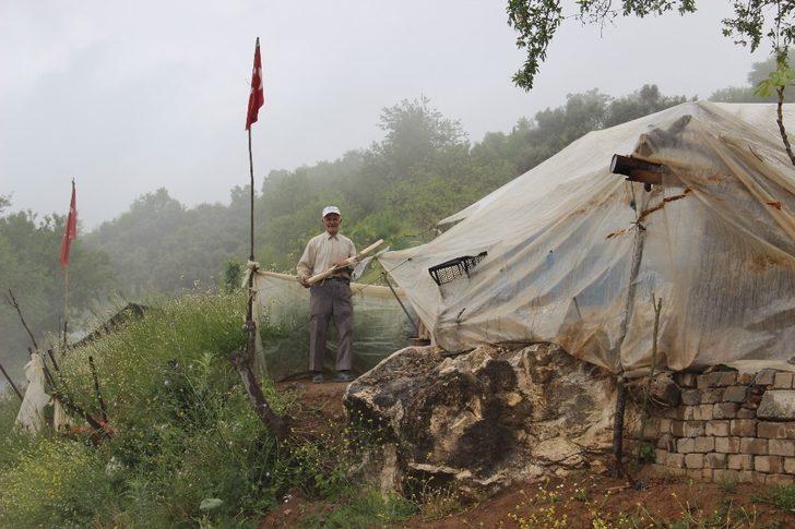 İnsanlara olan güvenini kaybedince dağlarda yaşamaya başladı G1