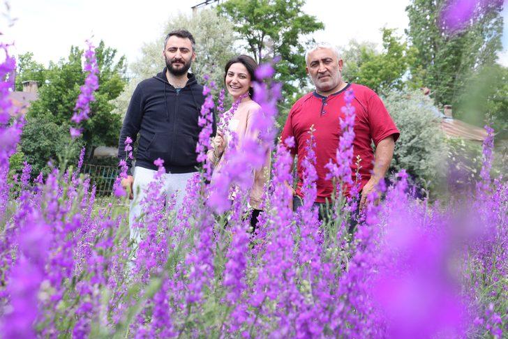 Sivas'ta mor çiçekler açtı! Fotoğraf çektirmek için akın ettiler G4