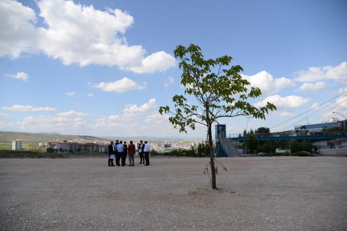 Pursaklar&rsquo;a Endemik ve Aromatik Bitki Parkı