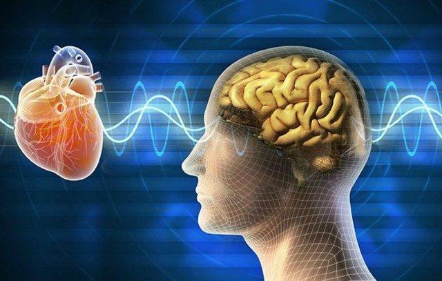 kalp ve beyin, kalp ve damar hastalıkları sonucu beyin kanaması