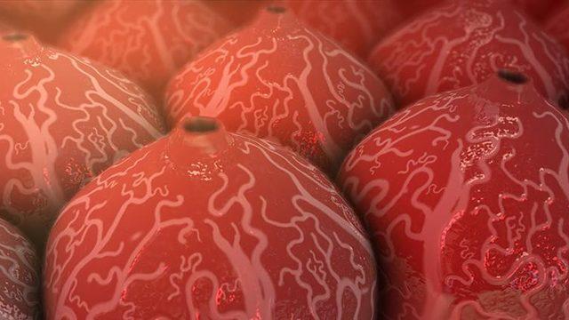 Hepatit C : Nedenleri, Belirtileri, Tedavisi