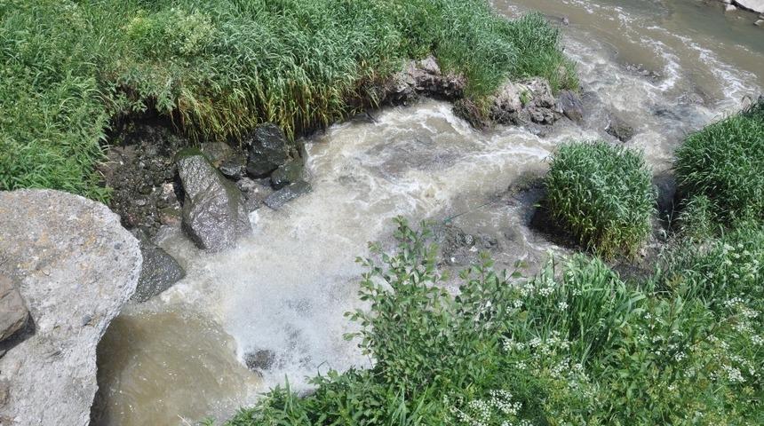 Kars&rsquo;ta ki balık &ouml;l&uuml;mlerinin sebebi kirlilik