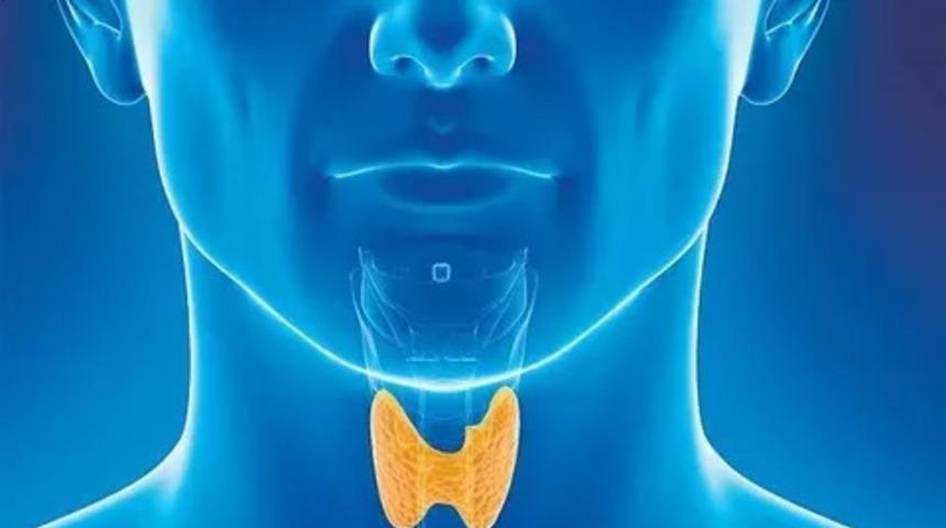 Türkiye'de 6 milyon Guatr hastası var