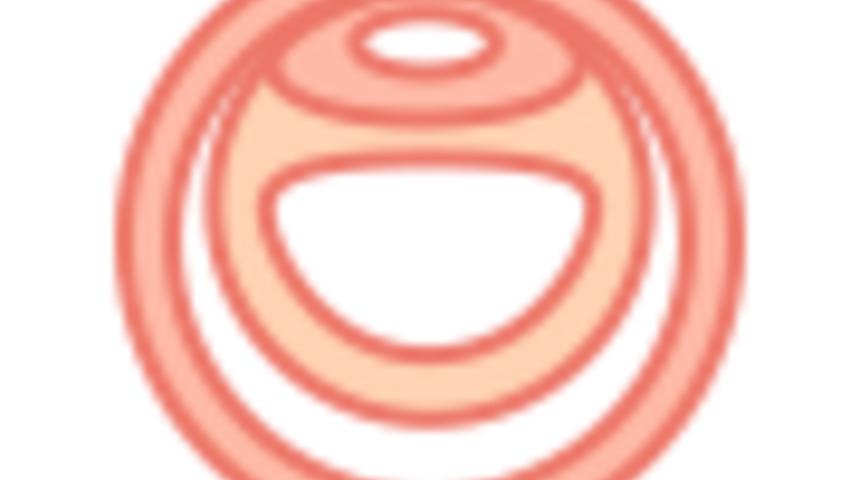 Hamilelikte 11. Hafta : 11 Haftalık Gebelik Gelişimi