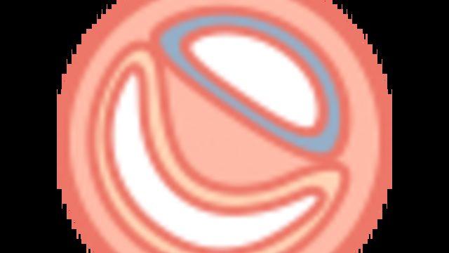 Hamilelikte 15. Hafta : 15 Haftalık Gebelik Gelişimi