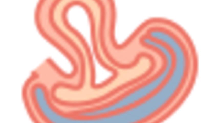 Hamilelikte 20. Hafta : 20 Haftalık Gebelik Gelişimi