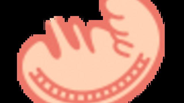 Hamilelikte 25. Hafta : 25 Haftalık Gebelik Gelişimi