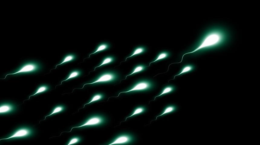 Sağlıklı Bir Birey İçin Sperm Sayısı Kaç Olmalı? Nasıl Arttırılabilir?
