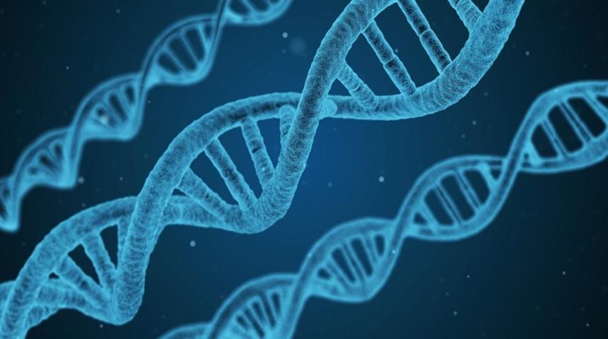 Genetik bozukluğun sebebi akraba evliliği