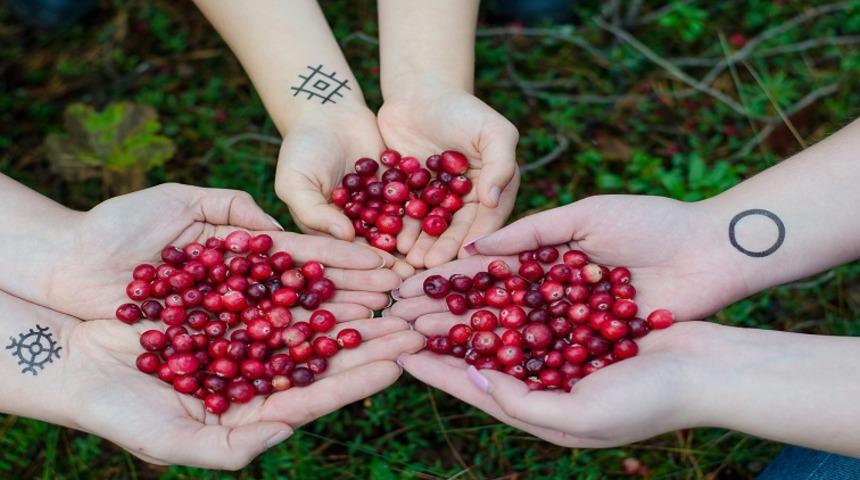 Kızılcığın faydaları nelerdir? Hangi vitaminleri içerir? Neye iyi gelir?