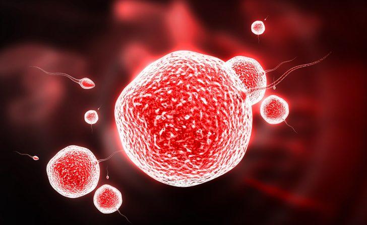 Bu belirtileri yaşıyorsanız aman dikkat! Gluten hassasiyetiniz olabilir G4