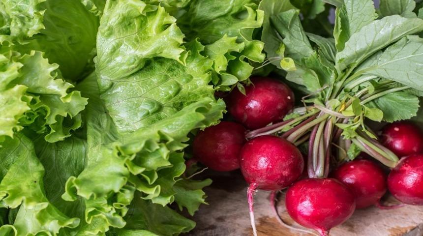 Turpun faydaları nelerdir? Sindirime etkisi nedir? Ne zaman tüketilmeli?