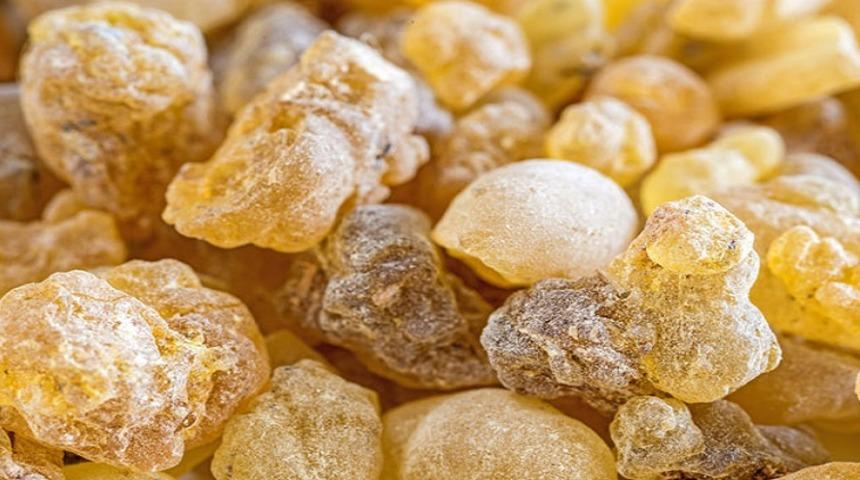 Akgünlük bitkisinin faydaları nelerdir? Akgünlük bitkisi nasıl tüketilir?