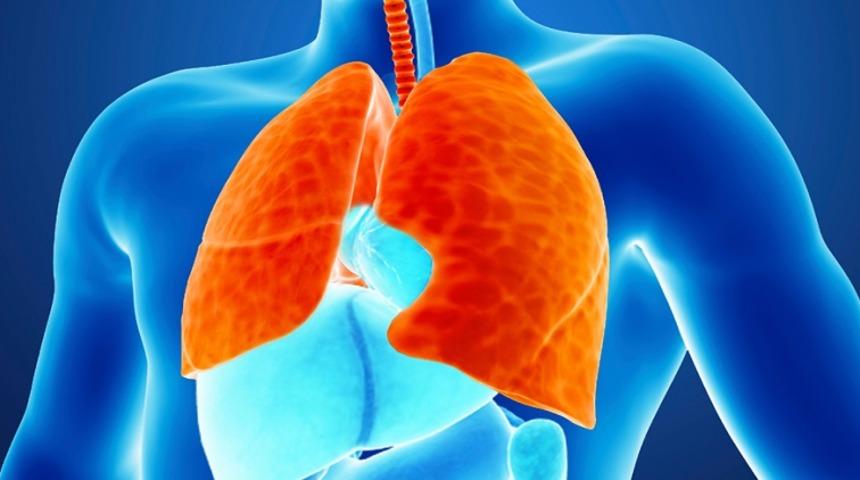 Her yıl 2 milyon kişi tüberkülozdan ölüyor