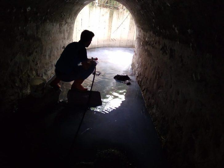 Kocaeli’de vektörle mücadele 24 saate çıktı G2