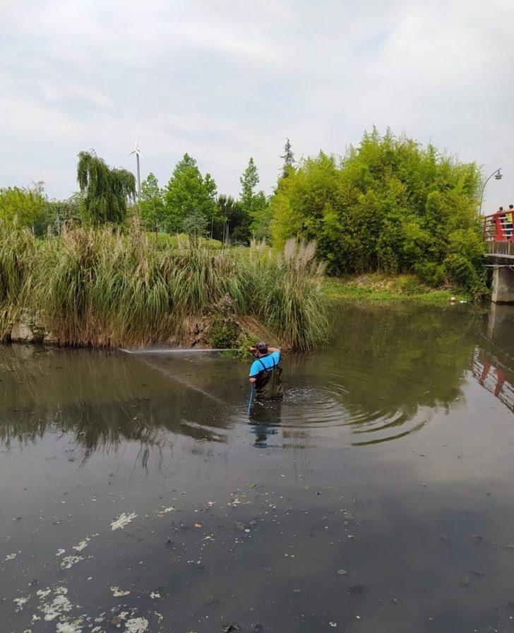 Kocaeli’de vektörle mücadele 24 saate çıktı G4