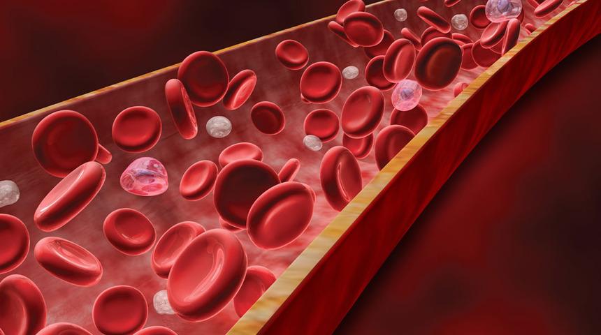 RDW Nedir? RDW Düşüklüğü, Yüksekliği, Normal Değeri