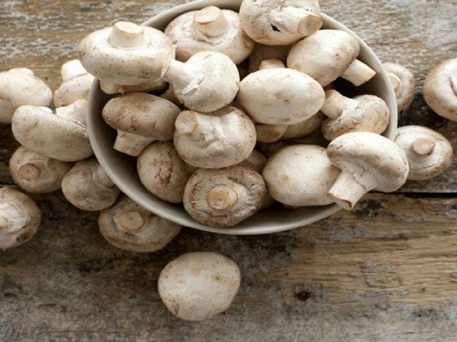 R&uuml;yada mantar g&ouml;rmek