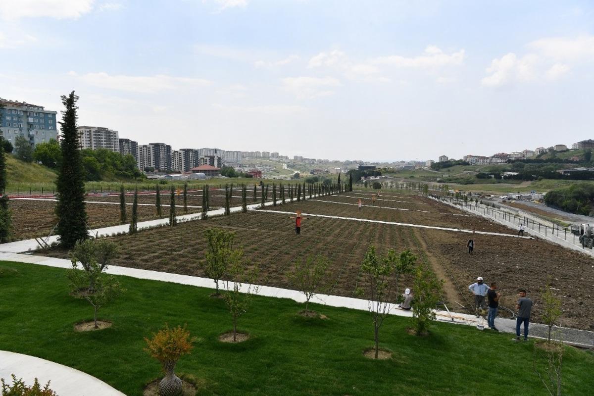 Başkan &Ccedil;alık: &ldquo;Beylikd&uuml;z&uuml;&rsquo;n&uuml;n her tarafını yeniliyoruz&rdquo;