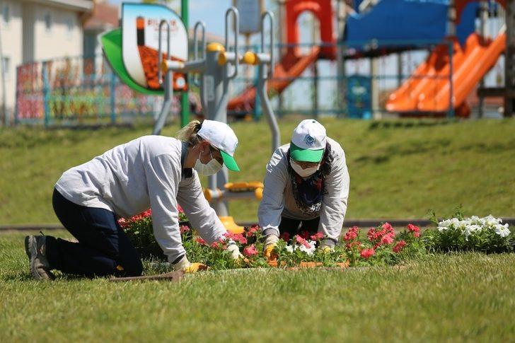 Odunpazarı Belediyesi kendi serasında yılda 300 bin çiçek üretiyor G2
