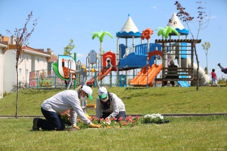 Odunpazarı Belediyesi kendi serasında yılda 300 bin çiçek üretiyor G4