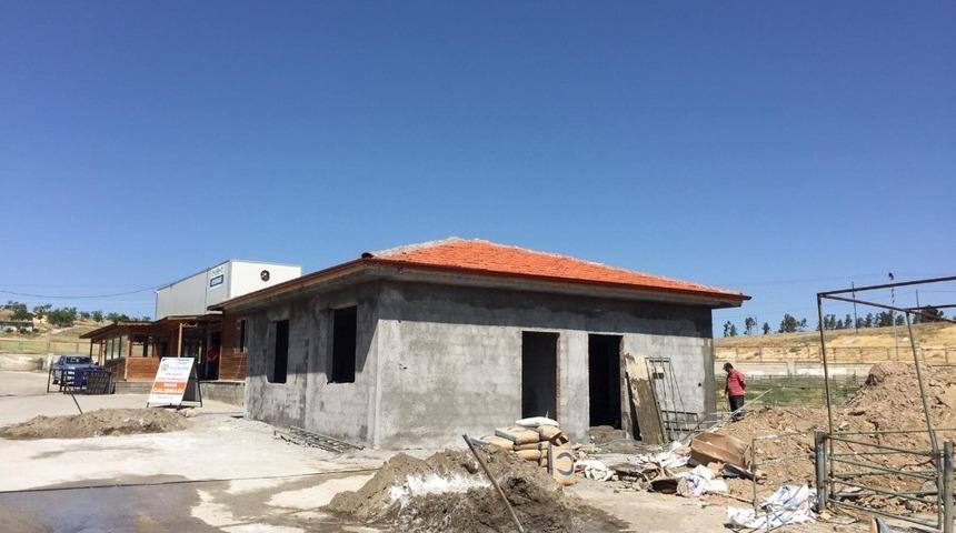 Hayvan Pazarı&rsquo;nın eksikleri gideriliyor