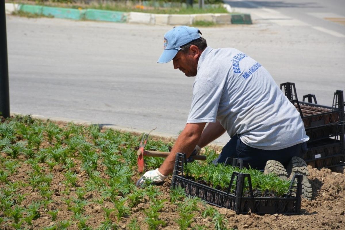 Gemlik &ccedil;evreyolu kavşağı &ccedil;i&ccedil;eklendirildi
