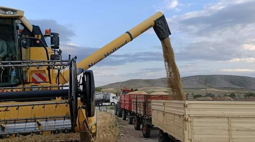 Yunak’da arpa hasadı başladı