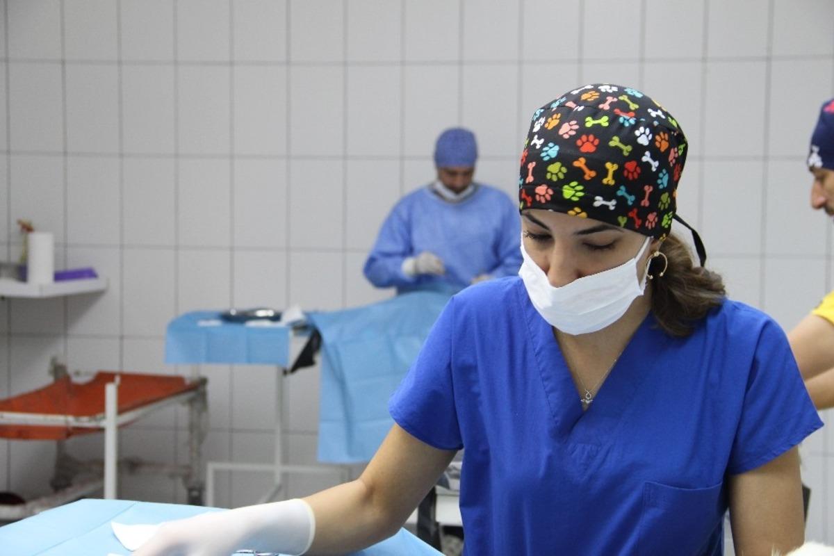 B&ouml;lgenin en modern barınağında hummalı &ccedil;alışma
