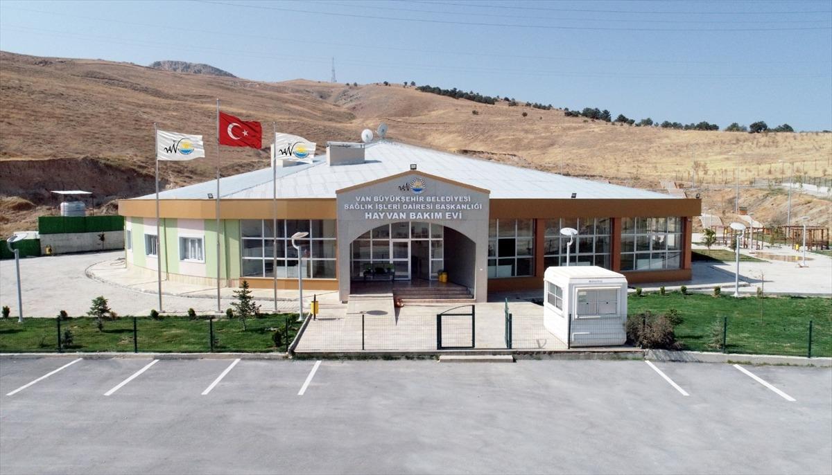 Van'da bir yılda 7 bin 533 hayvan tedavi edildi
