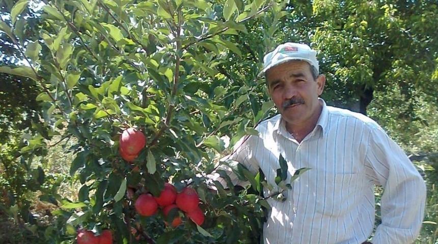 Ağaçtan düşen eski muhtar hayatını kaybetti