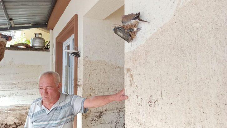 Bursa'daki sel felaketinin simgesi oldu G1