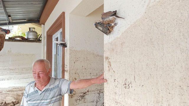 Bursa'daki sel felaketinin simgesi oldu