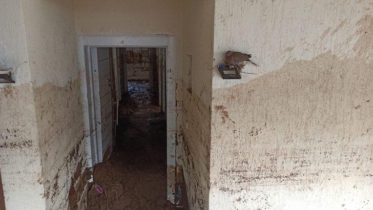 Bursa'daki sel felaketinin simgesi oldu G2