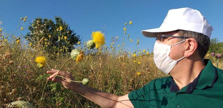 Tülüşah alanlarında inceleme yapıldı G1