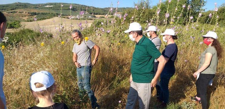 Tülüşah alanlarında inceleme yapıldı G3