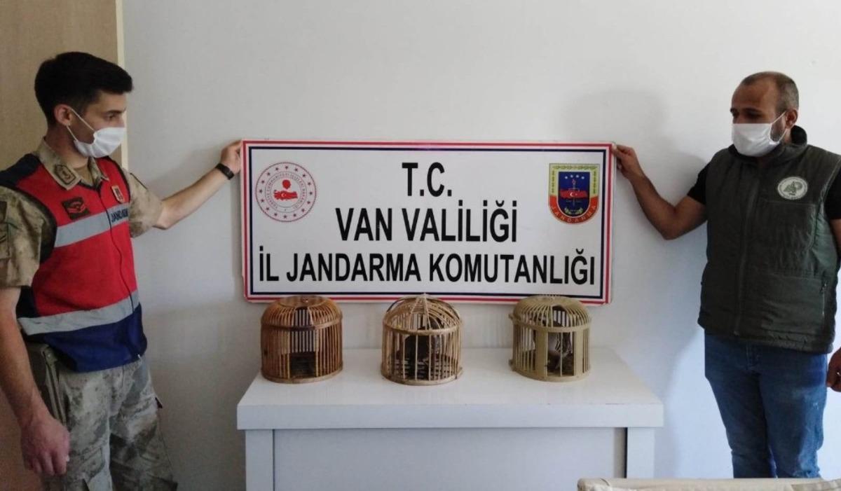 Erciş&rsquo;te kafes avcısına ceza