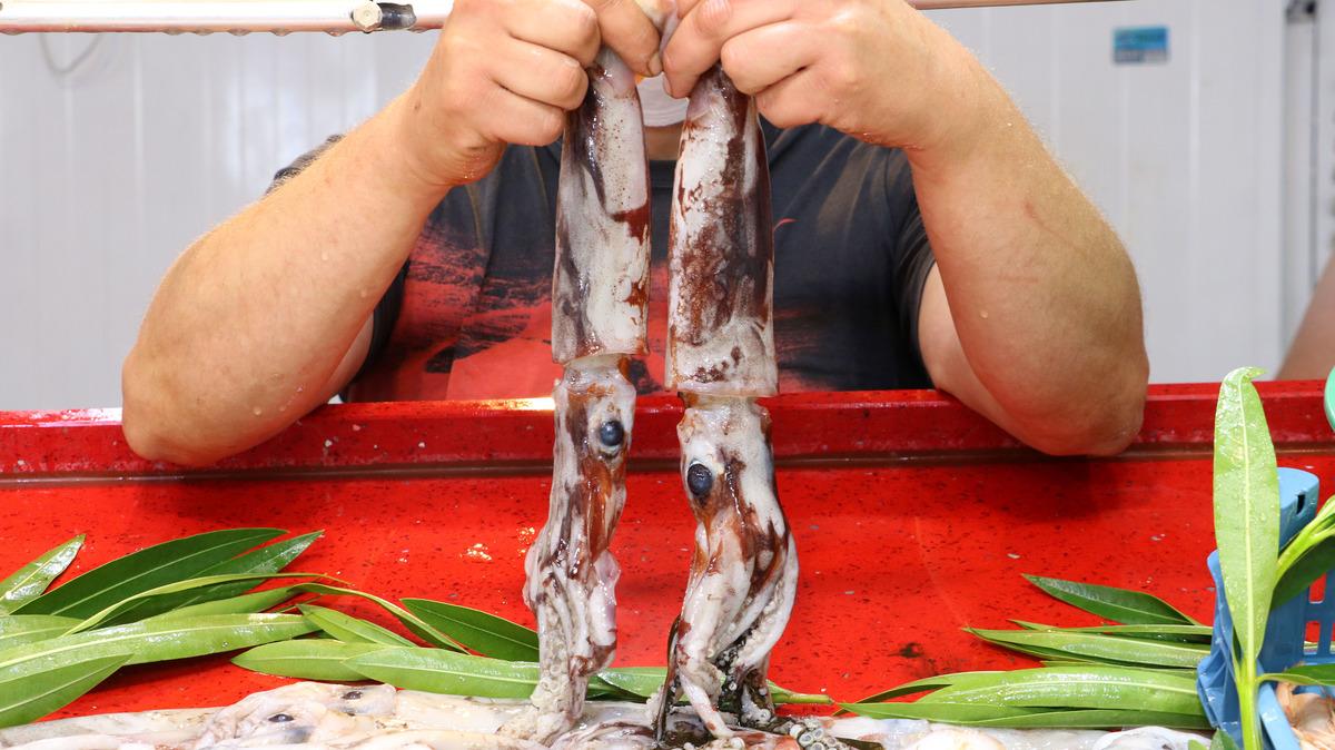 Saros'ta kalamar avı bollaştı, fiyatı 60 liraya d&uuml;şt&uuml;