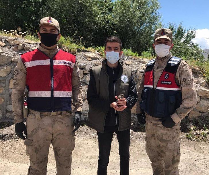 Van’da yaralı kuşlar tedavi altına alındı G3