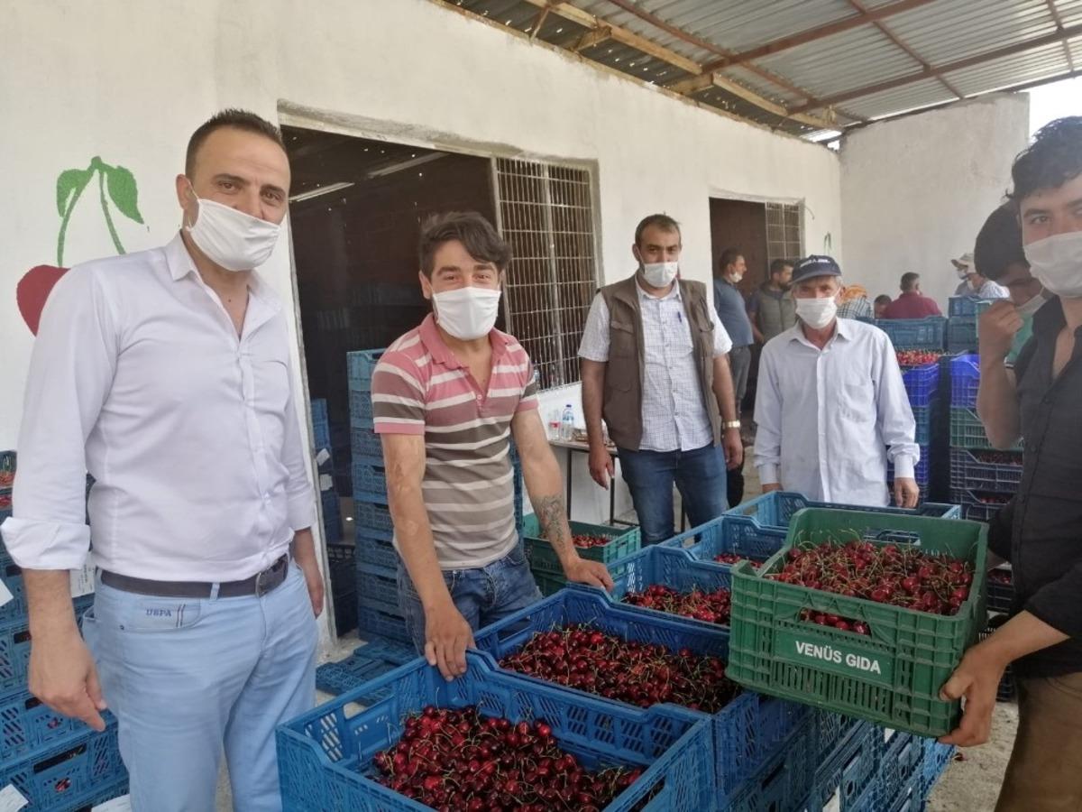 Kiraz hasadında denetim