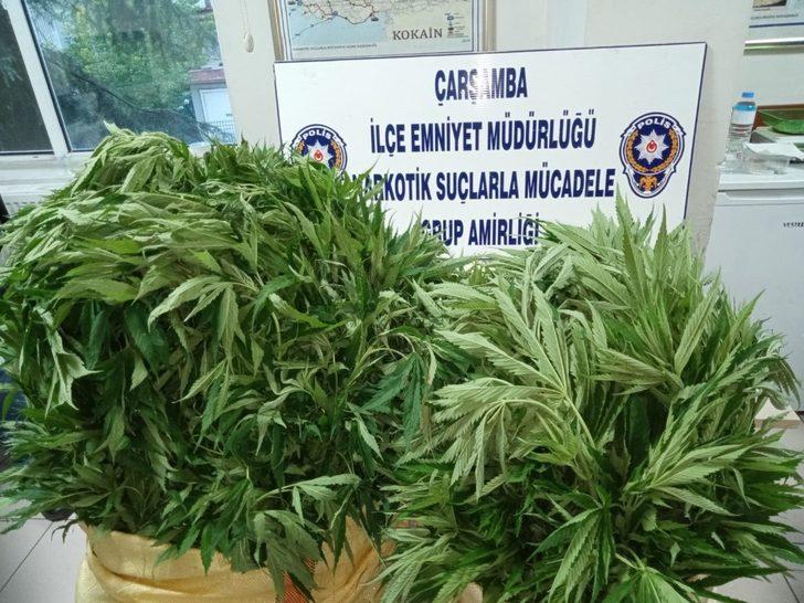 408 kök Hint keneviri ele geçirildi: 1 gözaltı G1