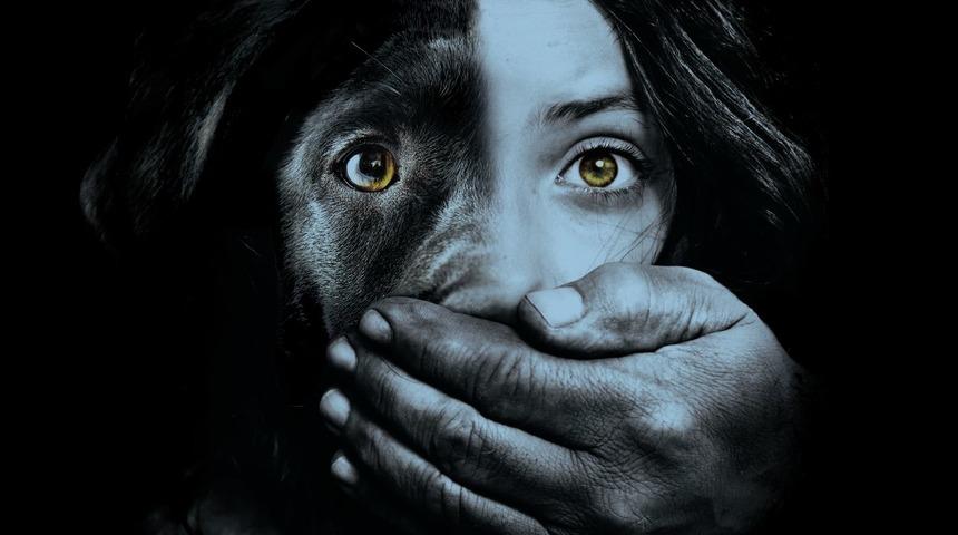 TikTok, HAYTAP ile işbirliği yapıyor