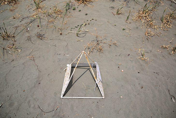 Deniz kaplumbağalarının rahatsız edilmemesi ve evde beslenmemesi uyarısı G3