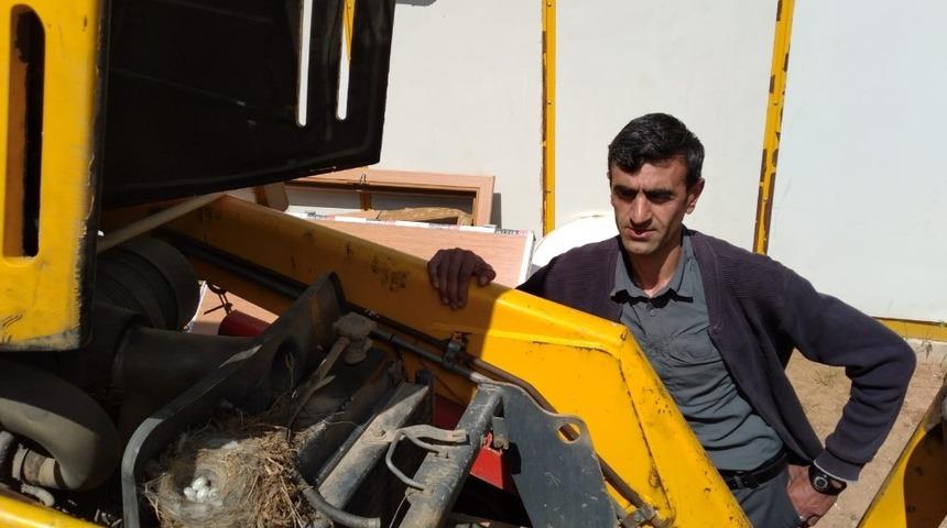 (Özel) Bahçesaray’da, kuşun motoruna yuva yaptığı iş makinesi sahibi tarafından çalıştırılmıyor