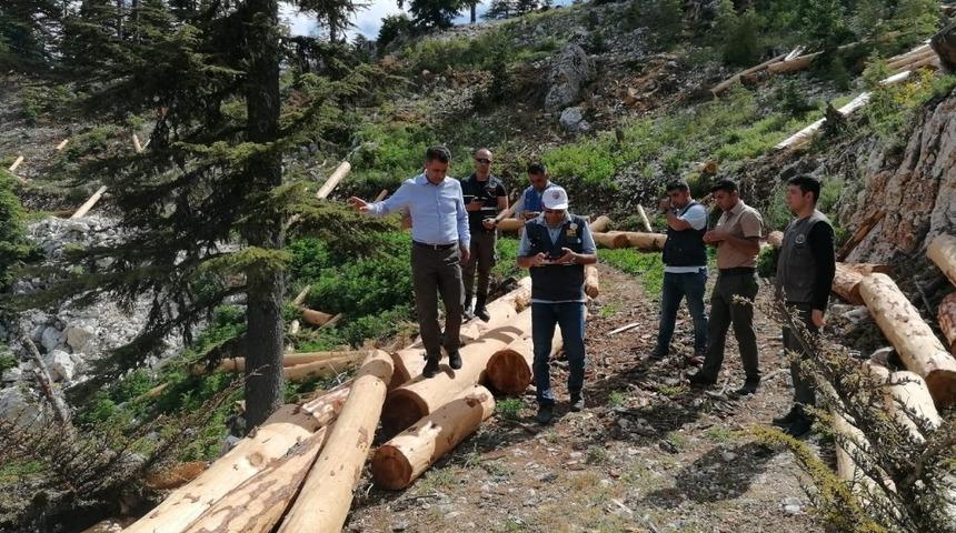 Orman Bölge Müdürü Akduman, üretim sahalarını inceledi
