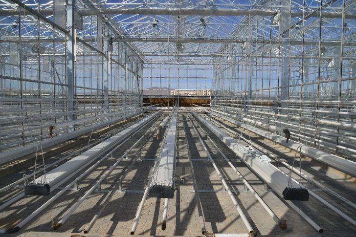 “Jeoterma kaynaklı tarımsal üretim 5 yıl içinde 5 kat artacak” G3