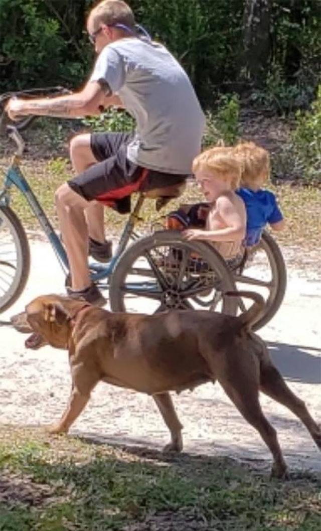 florida-missing-autistic-child-found-safe-care-dogs-5eec636180ded__700