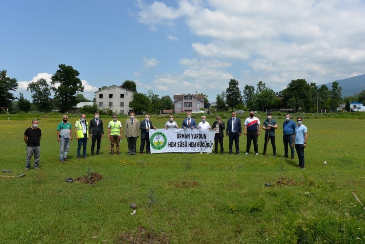 Daha yeşil bir Hendek i&ccedil;in ağa&ccedil;landırma seferberliği başlatıldı