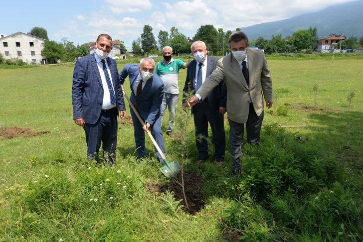 Daha yeşil bir Hendek için ağaçlandırma seferberliği başlatıldı G2